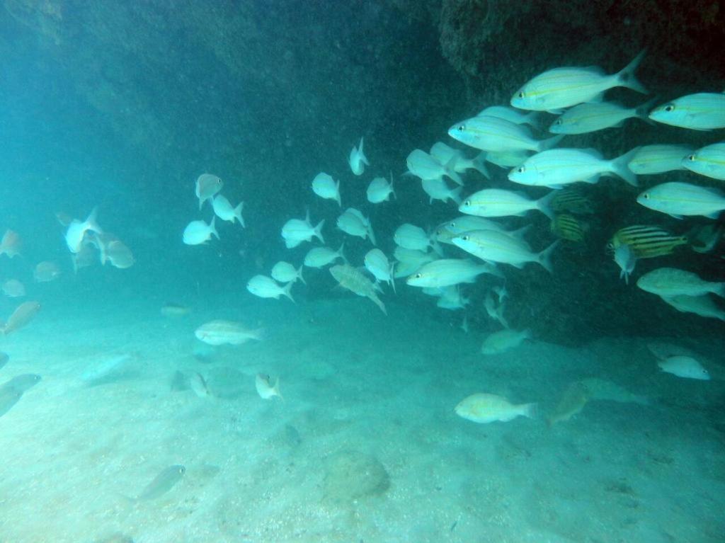Kitnet Sabrinna Maceió Buitenkant foto